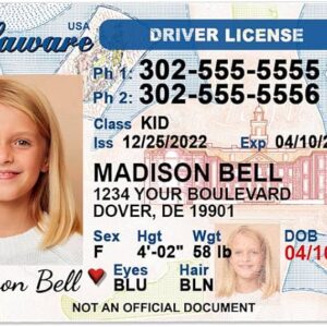 Buy Delaware Driver’s License and ID Card