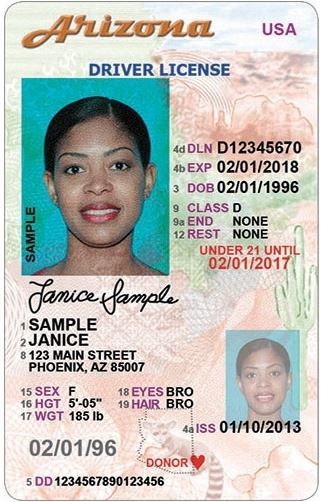 Buy Arizona Driver’s License and ID Card