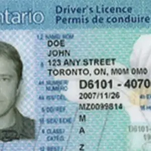 Fake Canadian Drivers License for Sale Online