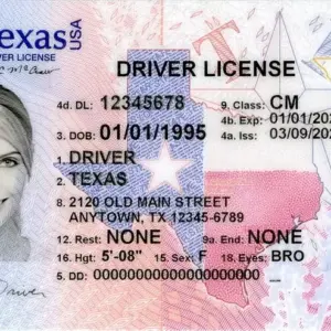 Buy Texas Driver’s License and ID Card