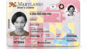 Buy Maryland ID Cards