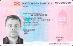 Buy Hungarian Driver’s license Online