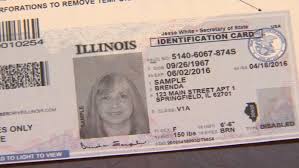 Buy Illinois Driver’s License and ID Card