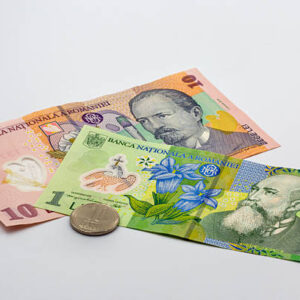 New 2025 Fake Romanian Leu