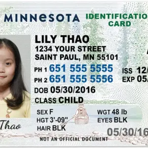Buy Minnesota Driver’s License and ID Card