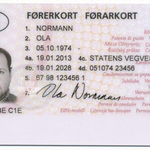 Buy Norway driving license Online